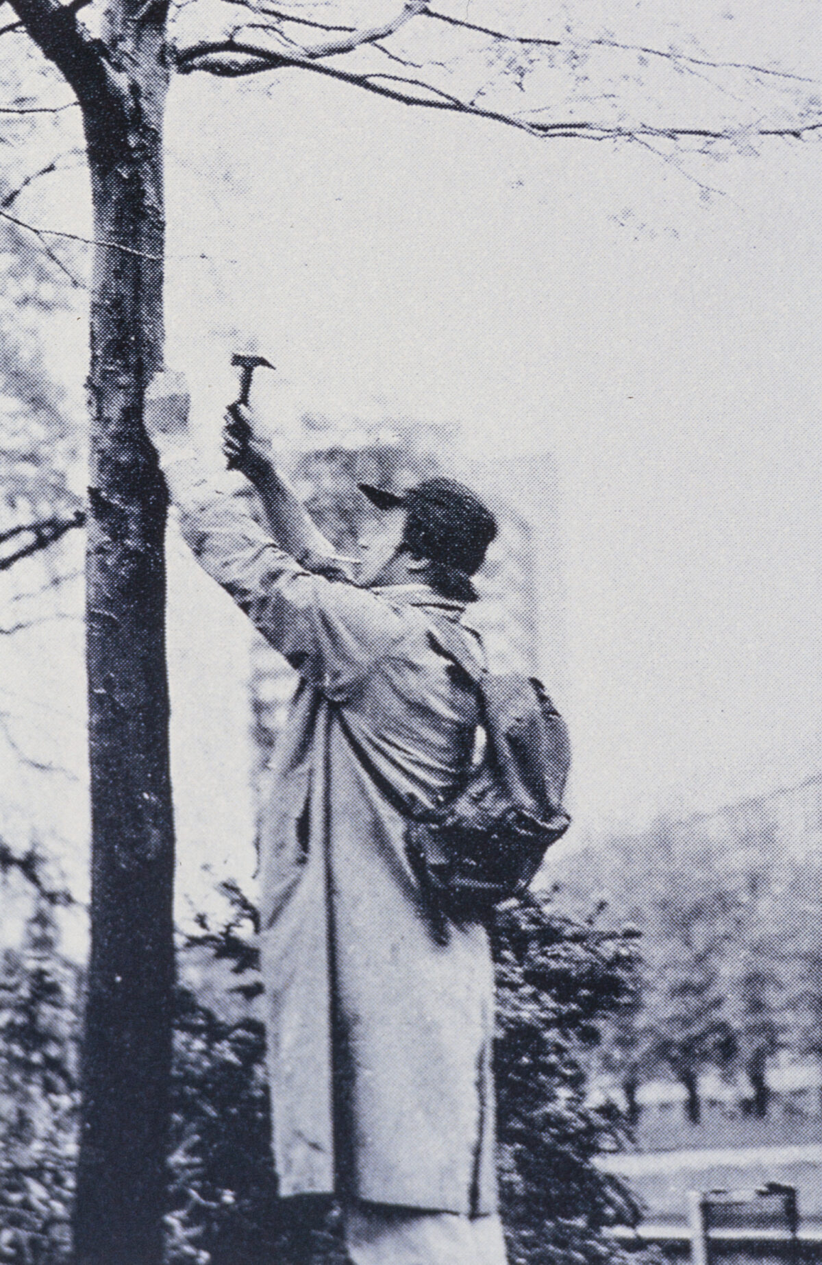 
Warning: Undefined array key 