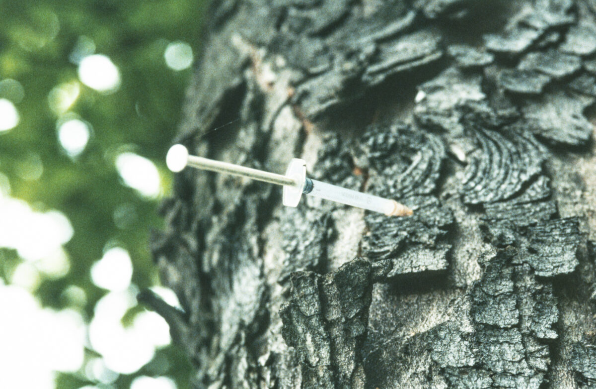 
Warning: Undefined array key 