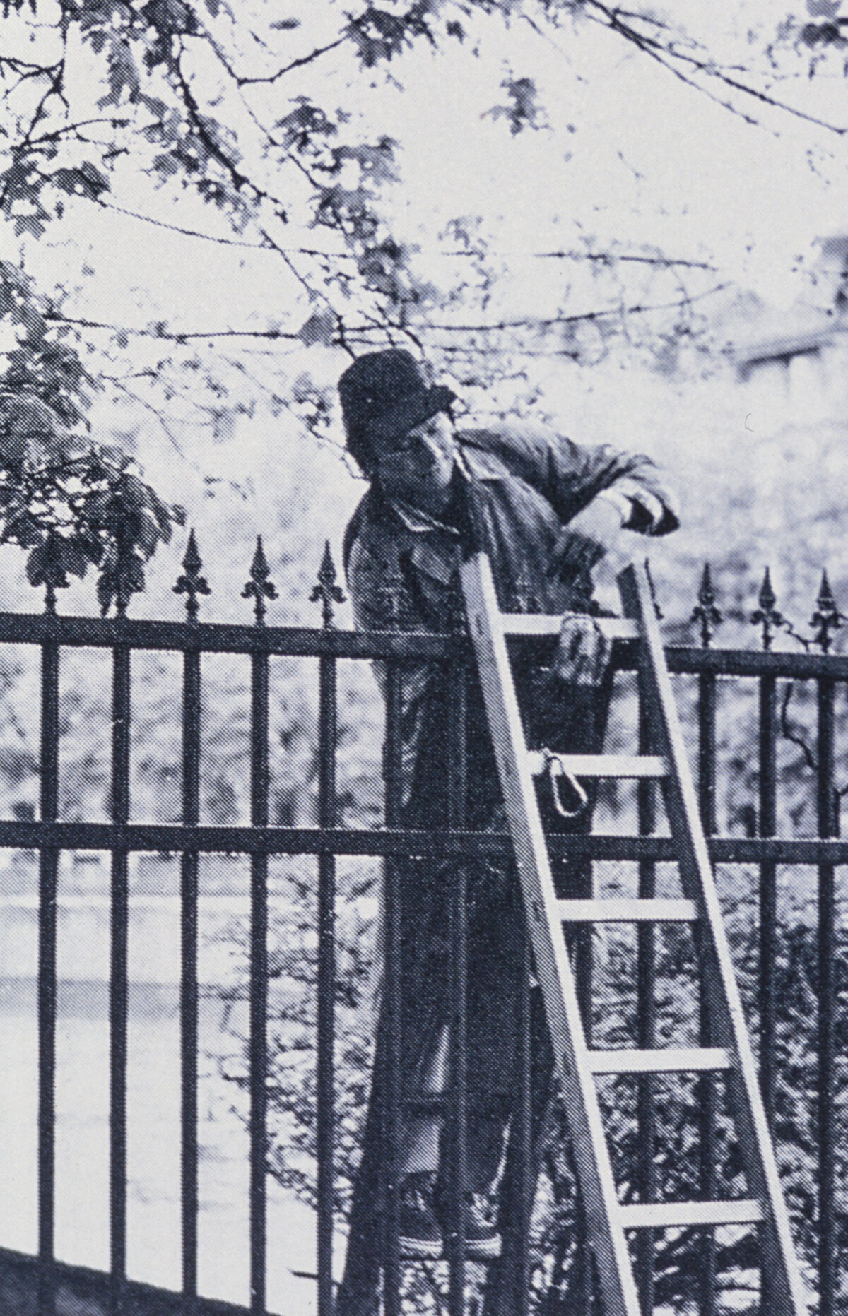 
Warning: Undefined array key 