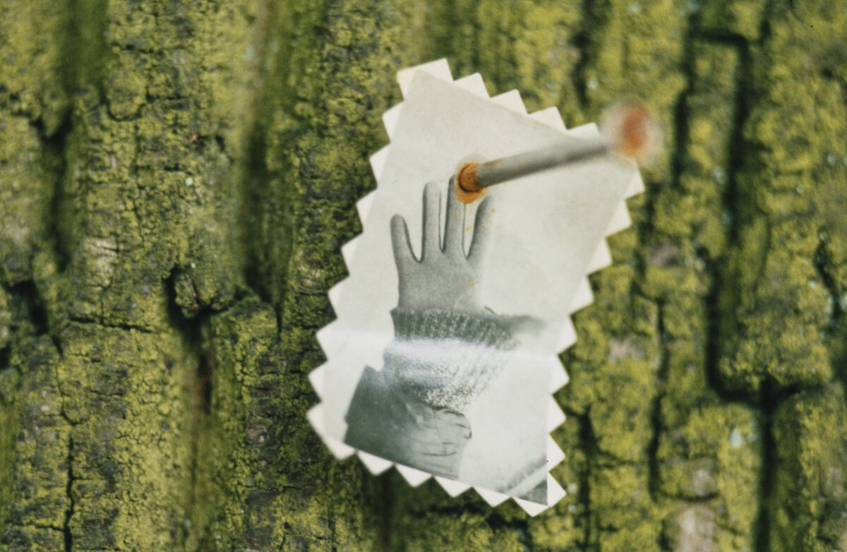 
Warning: Undefined array key 