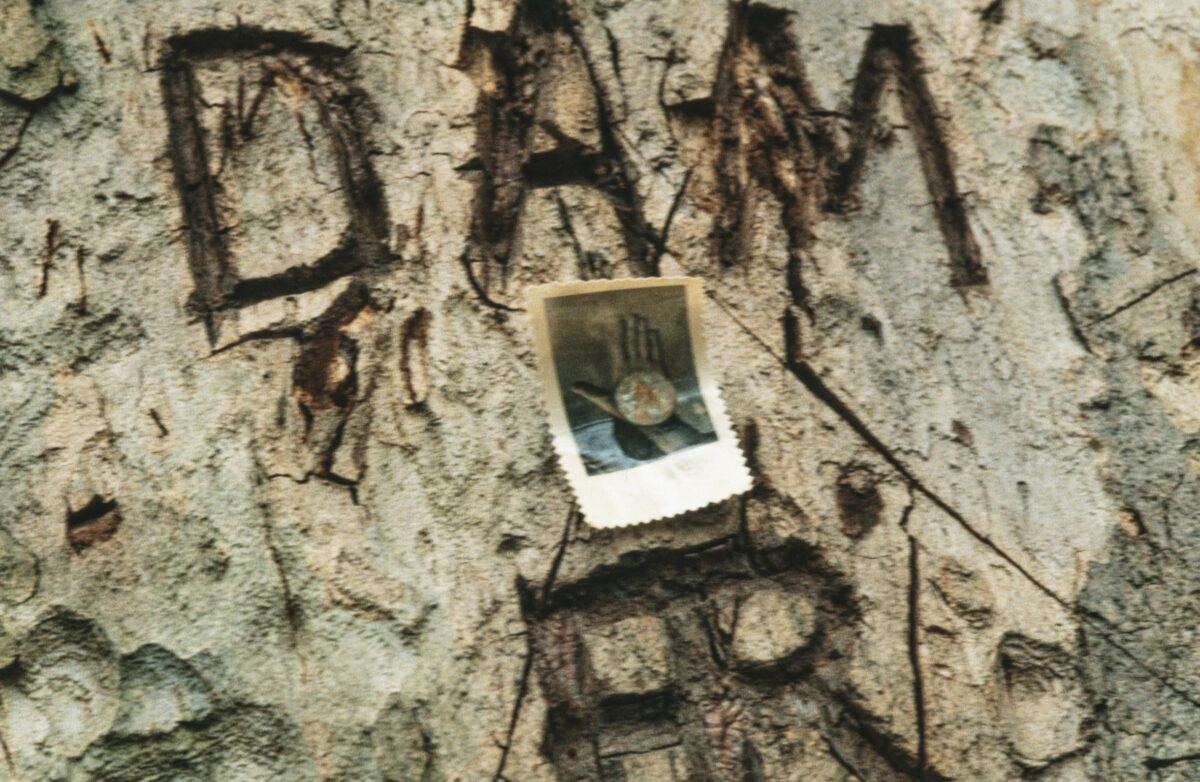 
Warning: Undefined array key 