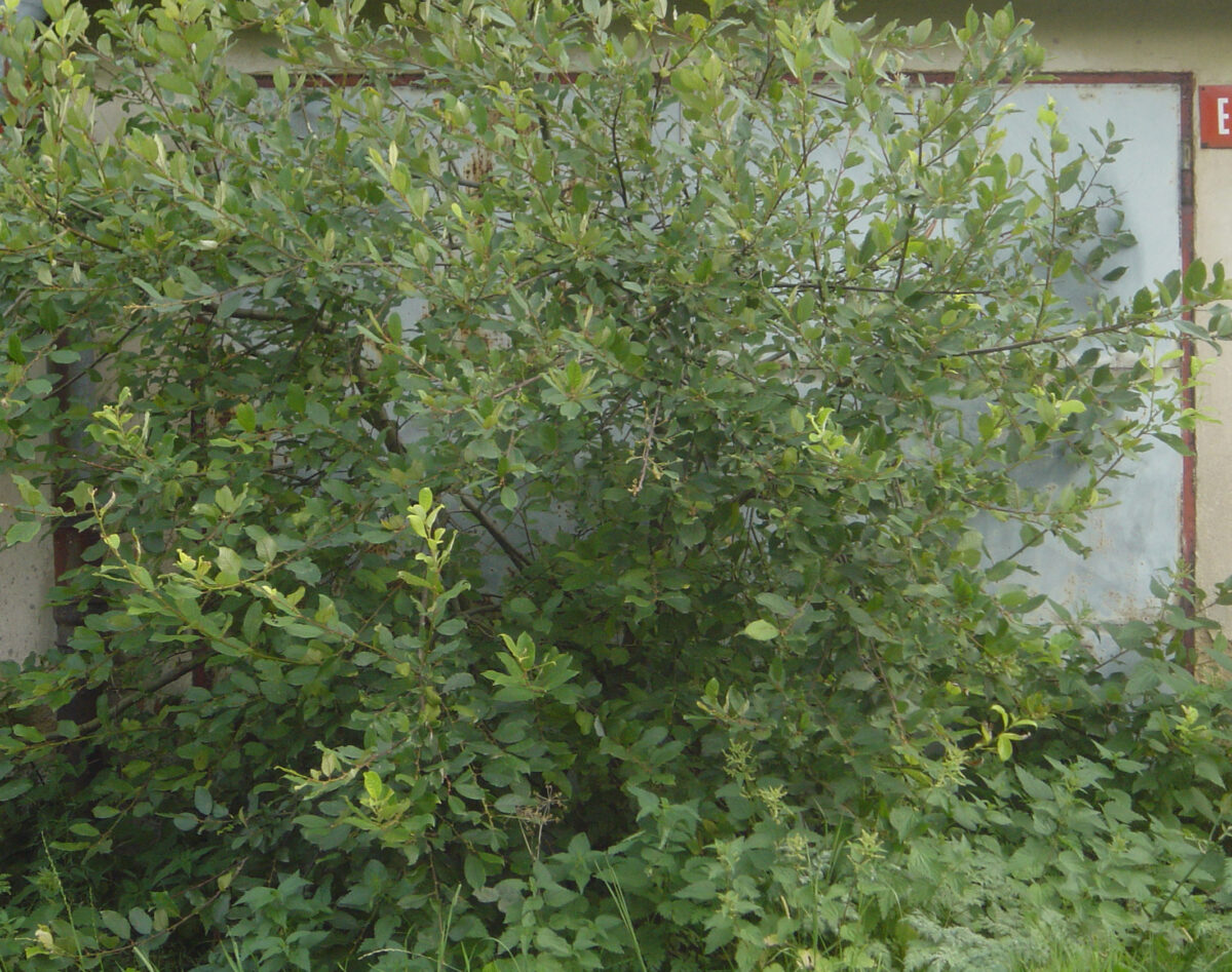 
Warning: Undefined array key 