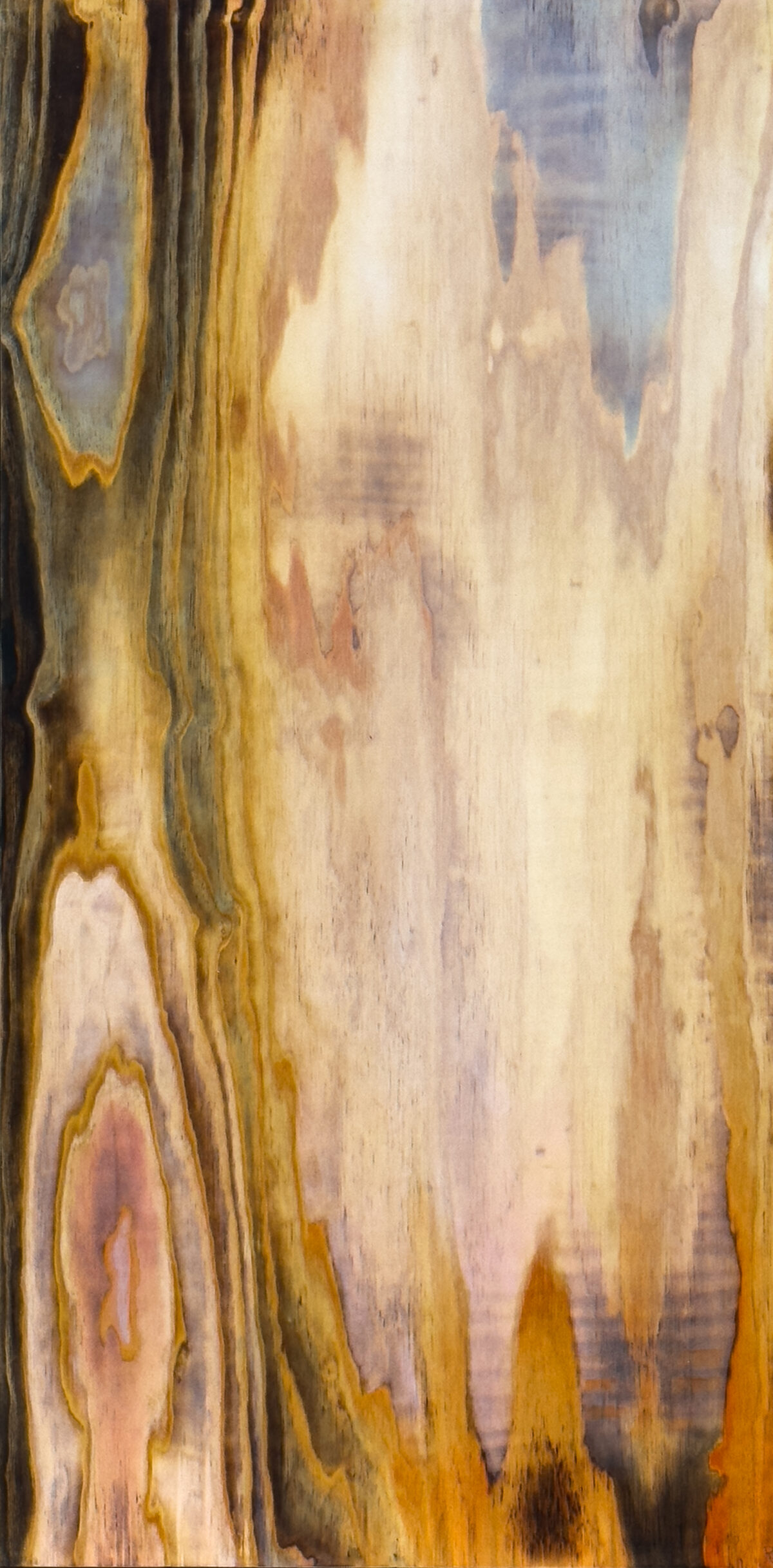 
Warning: Undefined array key 