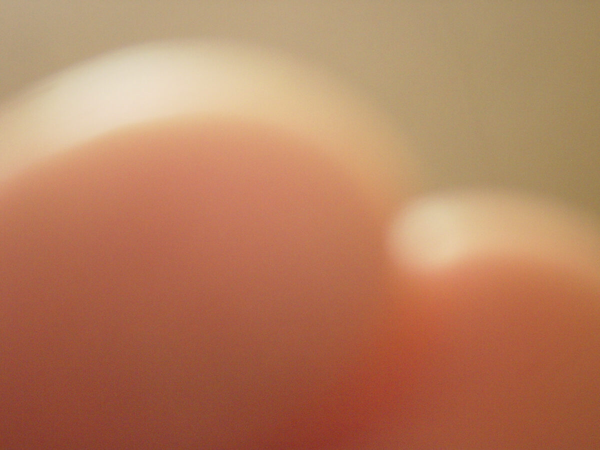 
Warning: Undefined array key 