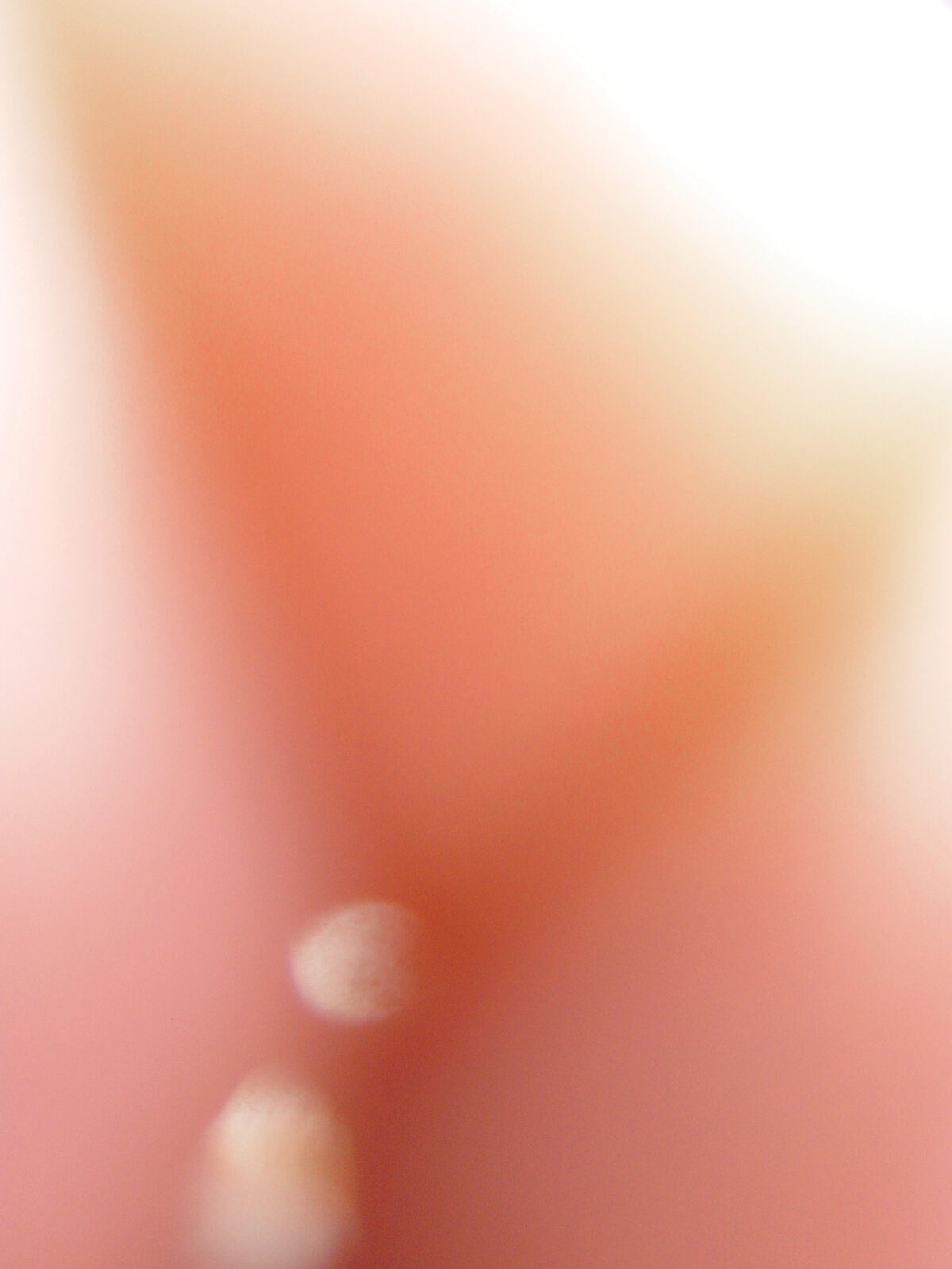 
Warning: Undefined array key 