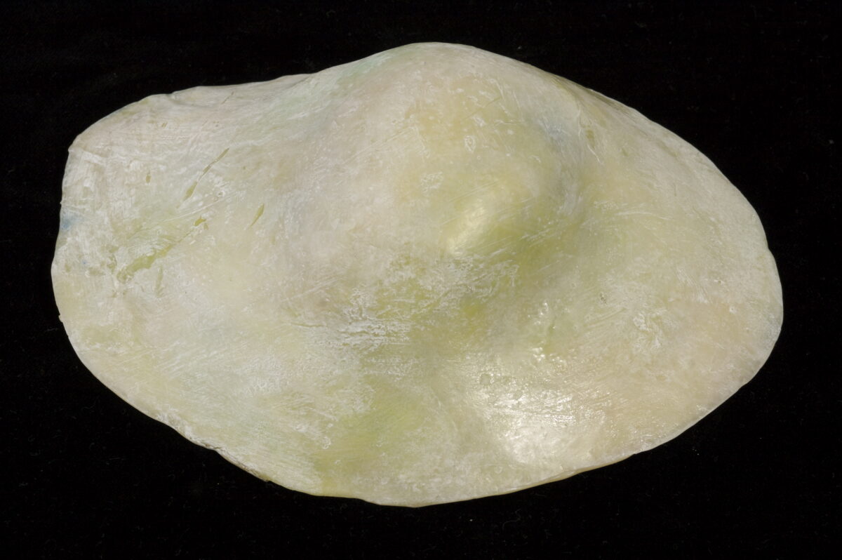 
Warning: Undefined array key 