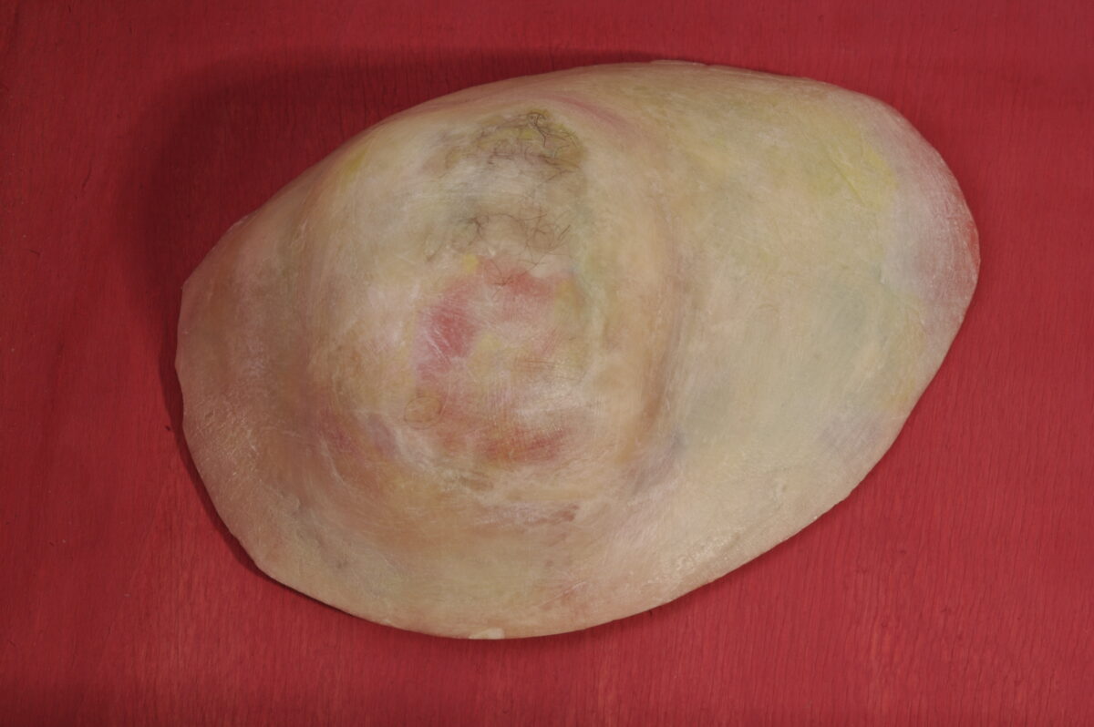 
Warning: Undefined array key 