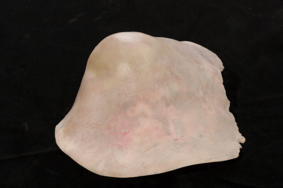 
Warning: Undefined array key 