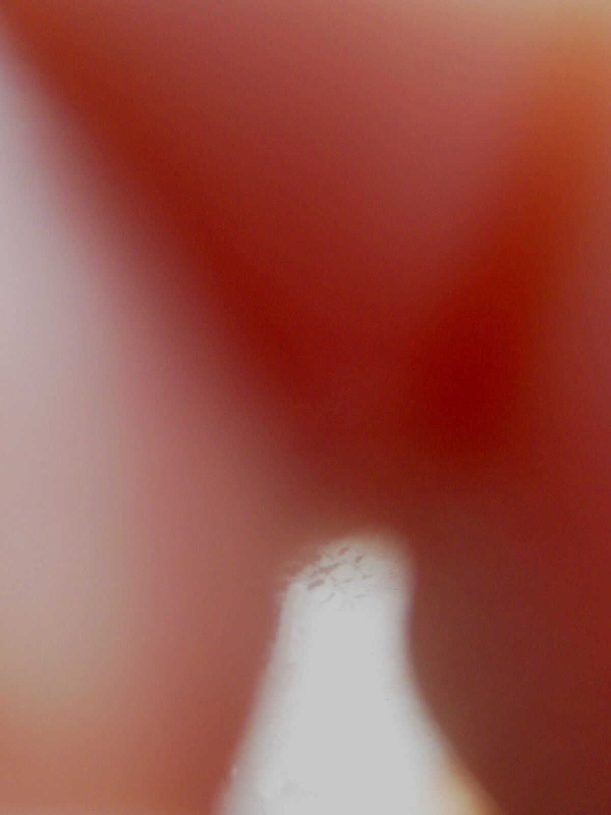 
Warning: Undefined array key 