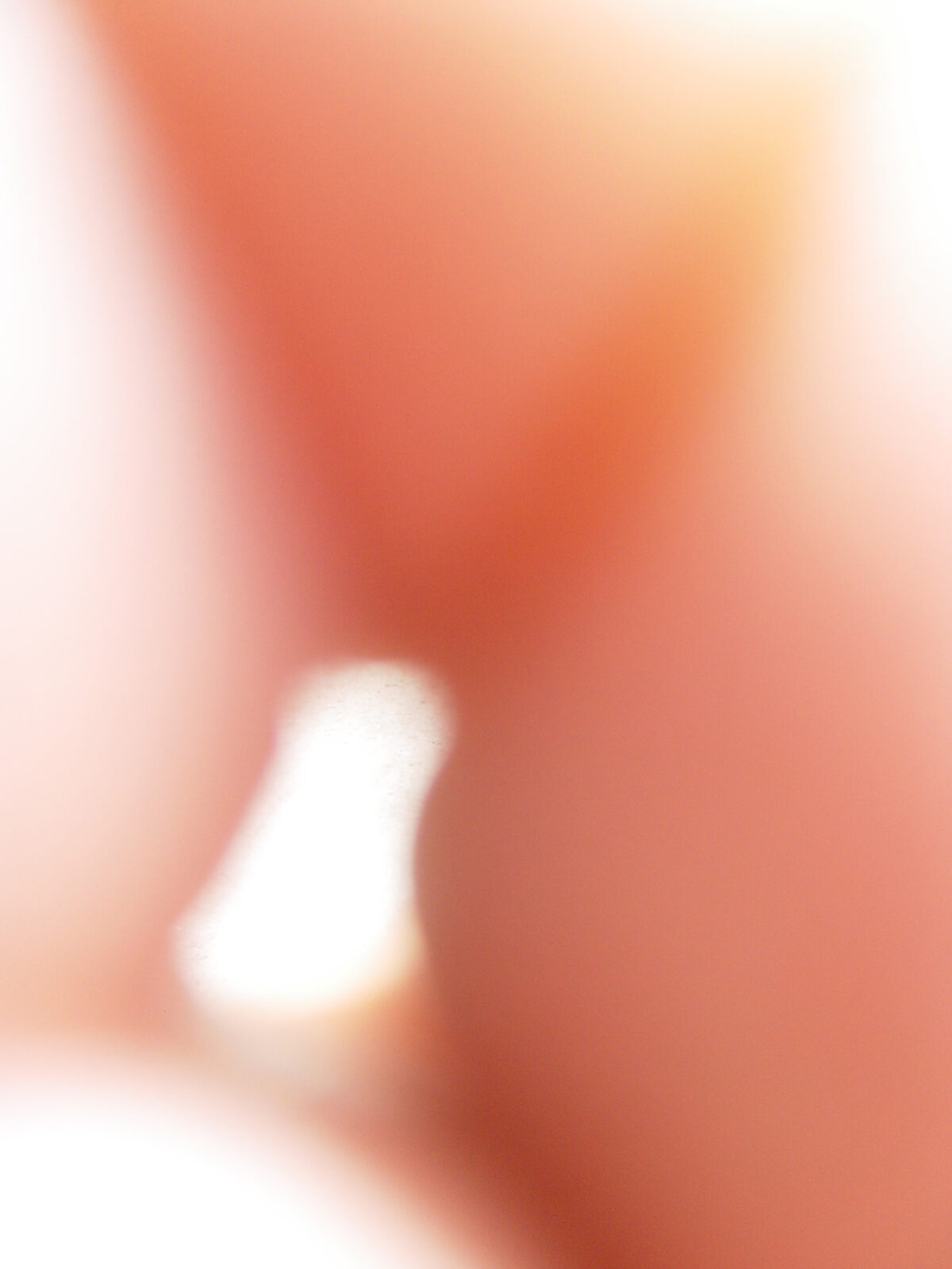 
Warning: Undefined array key 