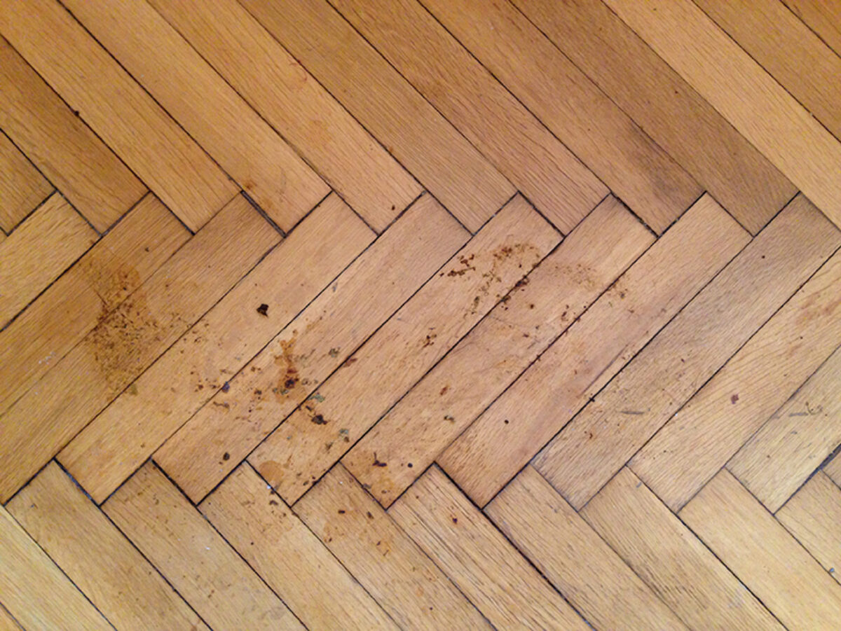 
Warning: Undefined array key 