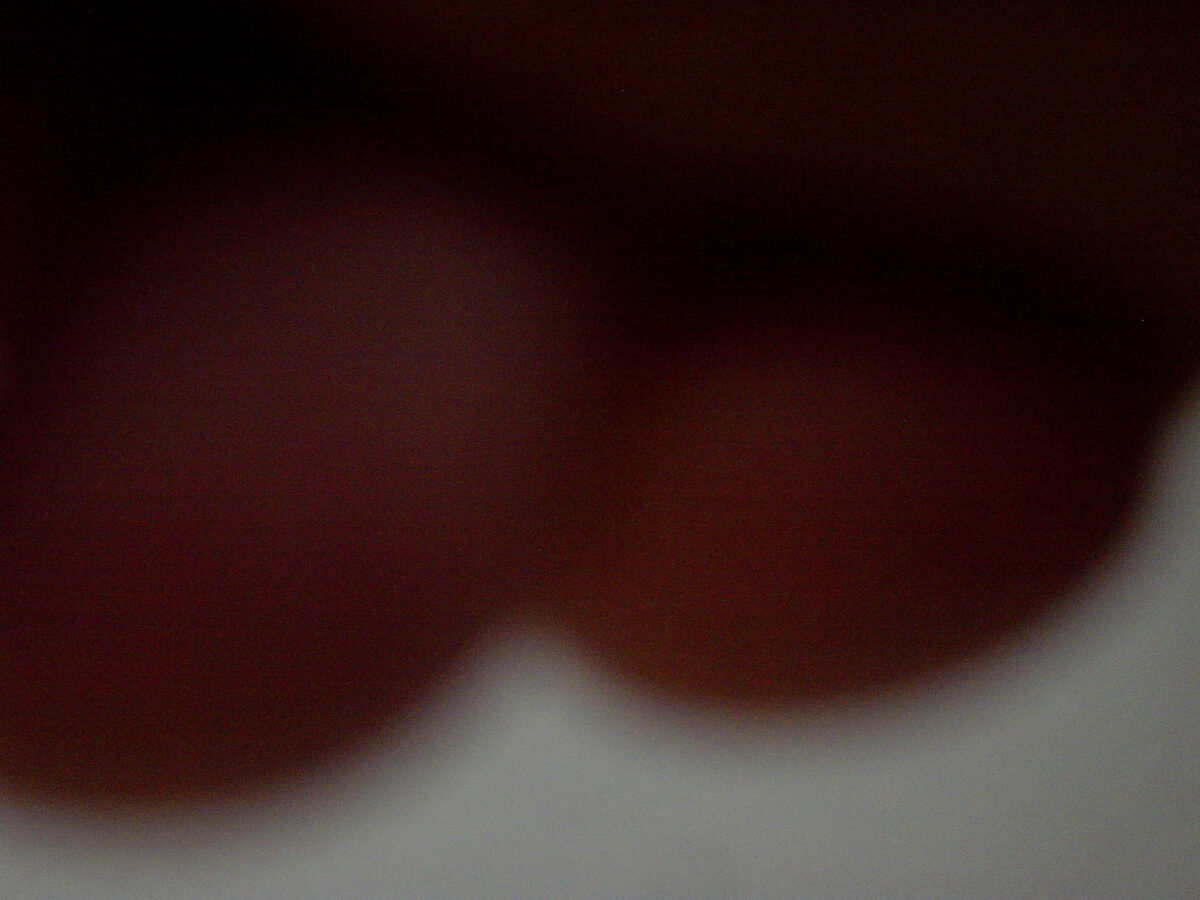 
Warning: Undefined array key 