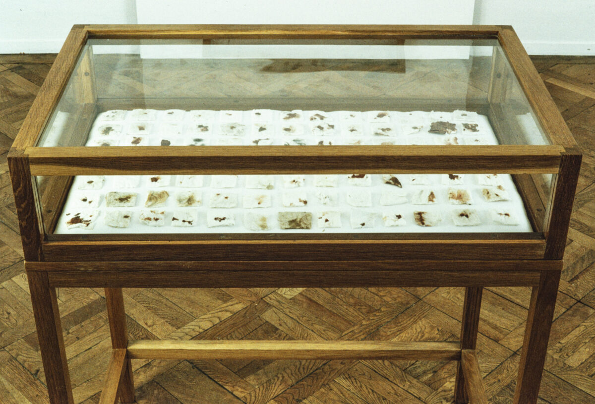 
Warning: Undefined array key 