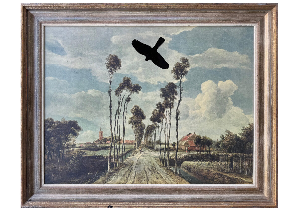 
Warning: Undefined array key 