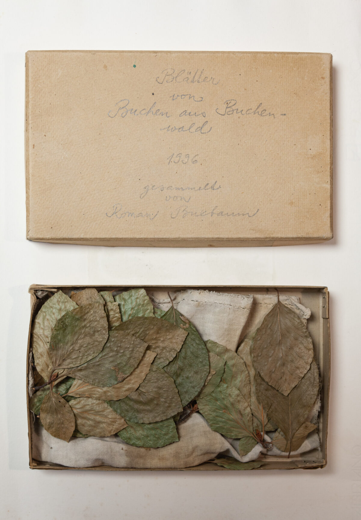 
Warning: Undefined array key 